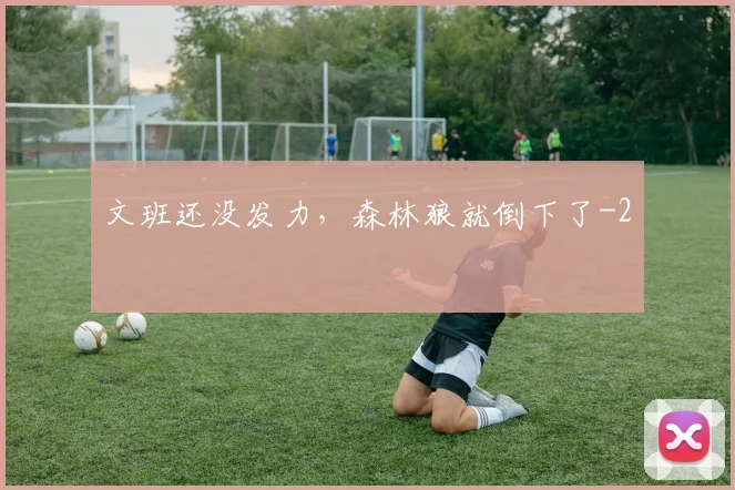 文班还没发力，森林狼就倒下了
