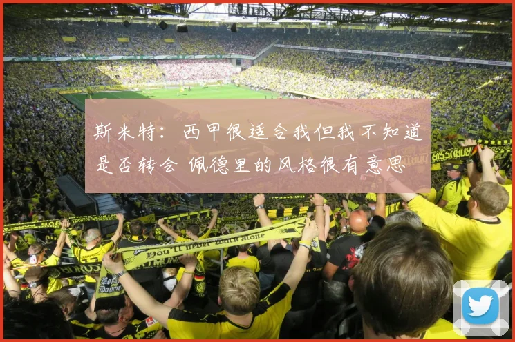 斯米特：西甲很适合我但我不知道是否转会 佩德里的风格很有意思