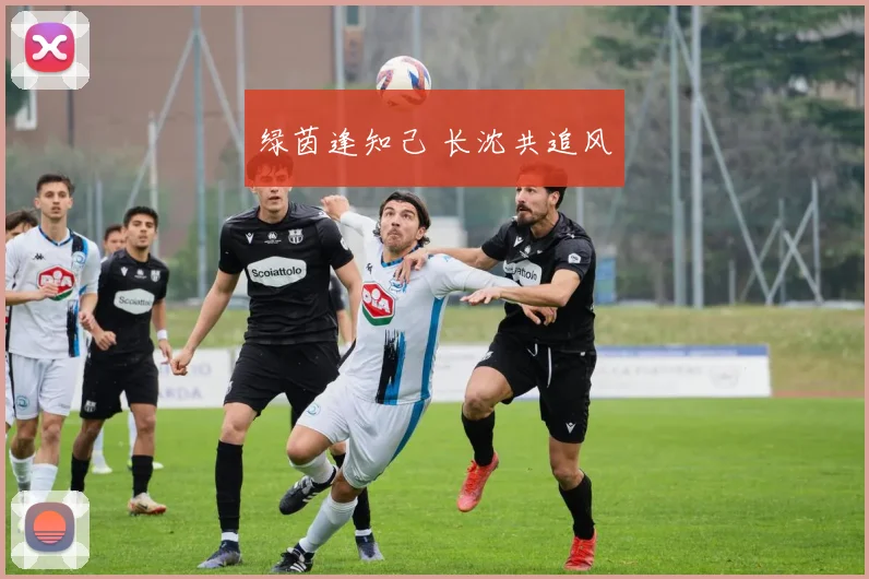 绿茵逢知己 长沈共追风