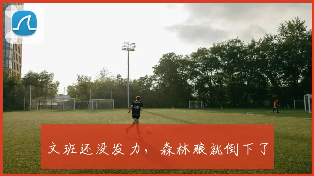 文班还没发力，森林狼就倒下了