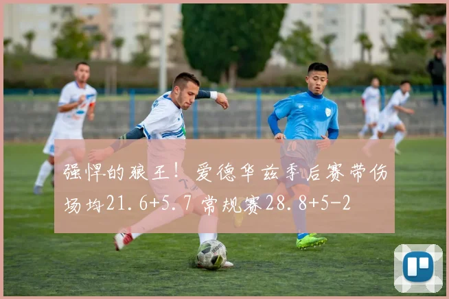 强悍的狼王！爱德华兹季后赛带伤场均21.6+5.7 常规赛28.8+5